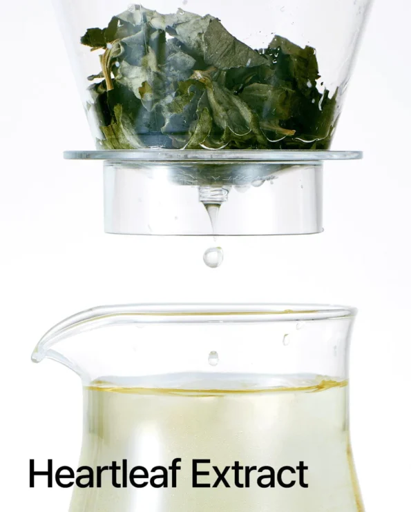 Anua Heartleaf 77% Soothing Toner