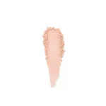 translucent-poudre-metallic-jar-29g-tlsp-tone-up-silo-3k