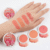 Jollylady Powder Blusher