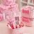 Sweet Bow Beauty Vanity Case Set